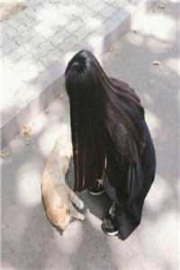 苏辰(苏辰)全文免费阅读无弹窗大结局_(国运我能唤醒华夏传承苏辰小说免费阅读)最新章节列表_（苏辰）