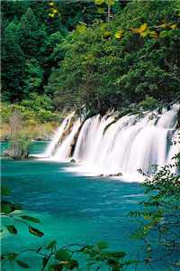 陆森南林浅浅全文(陆森南林浅浅全文)全文免费阅读无弹窗大结局_陆森南林浅浅全文全文免费阅读最新章节列表_（陆森南林浅浅全文）