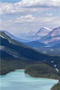 宋绛婉沈柘姜煜（宋绛婉沈柘姜煜）全文免费阅读无弹窗大结局_宋绛婉沈柘姜煜免费阅读无弹窗(宋绛婉沈柘姜煜)最新章节列表_（宋绛婉沈柘姜煜）