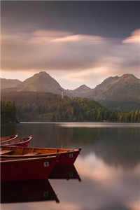 姜瑶霍泽（婚后传情）全文免费阅读无弹窗大结局_婚后传情全文免费阅读（姜瑶霍泽）最新章节列表_（姜瑶霍泽）