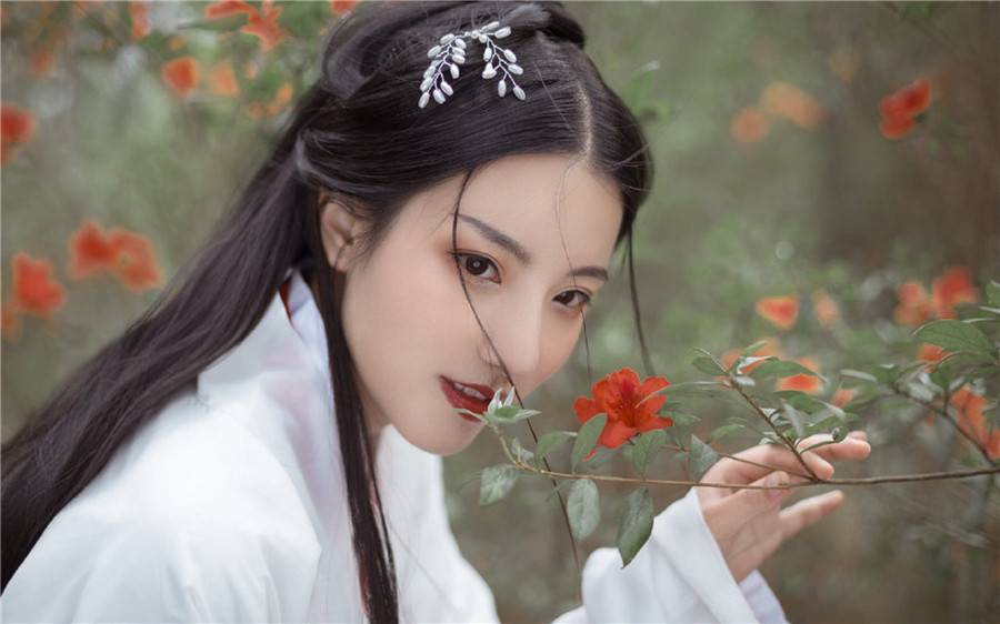 花开茉语香：美男坠入琼花帐