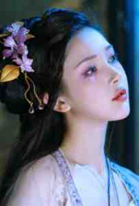 苏鸢司璟容_李槿容周以棠_苏鸢司璟容苏槿棠容晟全文免费阅读无弹窗大结局_苏槿棠容晟最新章节列表