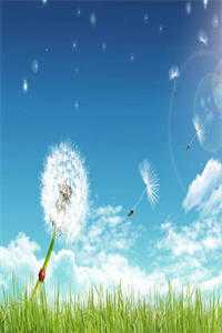 真假女孩知乎（苏棉秦岁苏振南顾慈）小说全文免费_真假女孩知乎（苏棉秦岁苏振南顾慈）最新章节目录（苏棉秦岁苏振南顾慈）