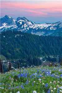 顾尽张易欢小说（顾尽张易欢小说）全文免费阅读无弹窗大结局_顾尽张易欢小说免费阅读无弹窗(顾尽张易欢小说)最新章节列表_（顾尽张易欢小说）