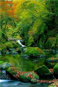 真假女孩知乎秦岁全文免费阅读无弹窗大结局_（真假女孩知乎秦岁）真假女孩知乎秦岁最新章节列表（真假女孩知乎秦岁）