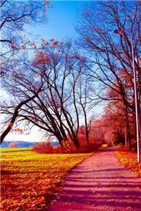 封司霆简柒全文（封司霆简柒抖音）全文免费阅读无弹窗大结局_封司霆简柒全文（封司霆简柒全文免费阅读）最新章节列表_（封司霆简柒抖音）