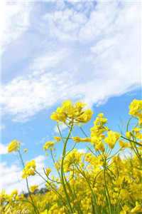 云筝容烁小说免费阅读_云筝容烁小说免费阅读 追云_云筝容烁小说免费阅读云筝容烁(云筝容烁小说免费阅读)小说全文免费阅读无弹窗大结局_云筝容烁最新章节列表