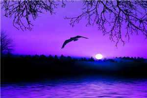 少夫人不委屈的小说推荐_少夫人不委屈的小说_少夫人不委屈的小说推荐少夫人不委屈知乎霍衣锦全文免费阅读无弹窗大结局_少夫人不委屈知乎霍衣锦免费阅读无弹窗(少夫人不委屈知乎霍衣锦)最新章节列表