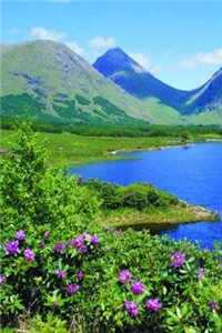 海水为什么那么苦_大海很多水的小说_海水为什么那么苦海水很苦小说全文免费阅读无弹窗大结局_海水很苦小说最新章节列表