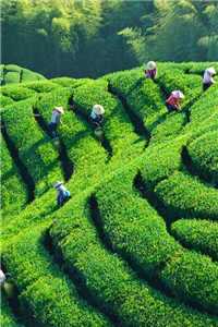 路梨迟忱宴无弹窗_路梨迟忱宴的小说_路梨迟忱宴无弹窗路梨迟枕宴小说名字全文免费阅读无弹窗大结局_(路梨迟枕宴小说名字)路梨迟枕宴小说名字免费阅读全文最新章节列表