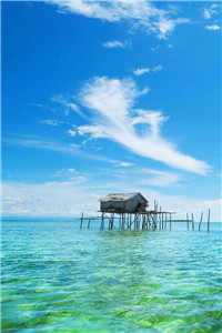 _前妻归来总裁请出局全文免费阅读无弹窗大结局_前妻归来总裁请出局最新章节列表