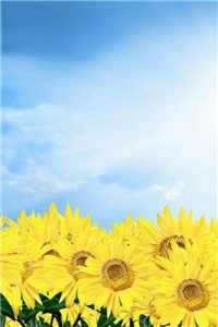 《心如铁》_心如红铁图片_《心如铁》心红如铁免费阅读(姜珏唐月初)小说全文免费阅读无弹窗大结局_心红如铁免费阅读最新章节列表