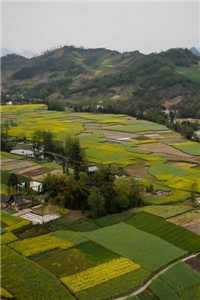 温祤祤墨霆修温祤祤墨霆修温妤厉霆深温知画(温妤厉霆深温知画)全文免费阅读无弹窗大结局_ 温妤厉霆深温知画免费阅读最新章节列表