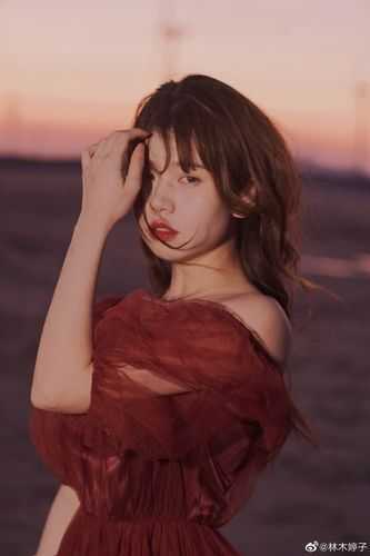 _愿你成花小说(宁琪陆昂段芝芝)全文免费阅读无弹窗大结局_宁琪陆昂段芝芝最新章节列表