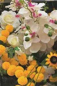 大辈少女小说免费阅读下载_大辈少女小说免费阅读无弹窗_大辈少女小说免费阅读下载大辈少女全文免费阅读无弹窗大结局_(大辈少女小说免费阅读)最新章节列表