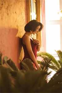 花火全部期数_花火生命短暂_花火全部期数花火无期全文免费阅读无弹窗大结局_贺辰逸沈星遥姜羽禾最新章节列表