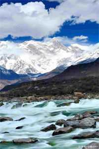 _完结版小说直播算命国士无双福荫后代第31章阅读