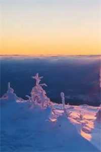 _小引石佛全文免费阅读无弹窗大结局_小引石佛最新章节