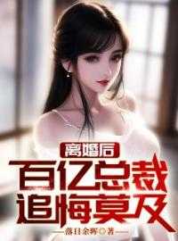 离婚后女总裁后悔的小说_离婚后她亿万身价曝光_离婚后女总裁后悔的小说离婚后，百亿女总裁追悔莫及叶乘风陈落雪完结版全章节阅读