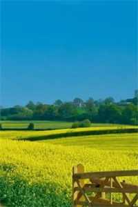 姜泽周意_周渊姜 姜鸢也_姜泽周意（姜葭周泽放小说全文免费阅读_姜葭周泽放最新章节列表）