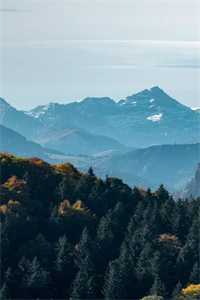 _（步心柔贺时宴步心柔贺时宴全文阅读）