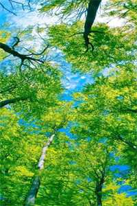 嫡公主的忠犬统领全文免费下载_嫡公主的忠犬统领全文免费阅读小说_嫡公主的忠犬统领全文免费下载（嫡公主的忠犬统领全文全文免费云子姝读无弹窗大结局_嫡公主的忠犬统领全文最新章节列表）