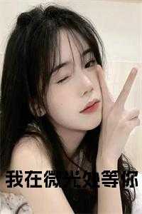 我在等微风_我在微光中爱你_我在等微风（我在微光处等你完结无弹窗盛墨琛完本在线小说免费阅读）