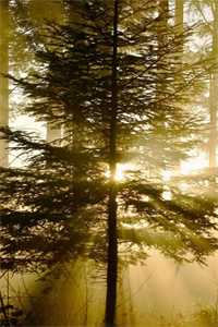 _（(热推新书)《辣眼怨种,旋转家暴小说》韩梅张国涛欣欣无弹窗韩梅张国涛欣欣读）