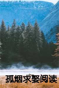孤烟啥意思_孤烟百家号_孤烟啥意思（【新书】《孤烟求娶小说》裴景驰沈檀音薛宁楚泽衍孤烟求娶小说全文全章节免费裴景驰沈檀音薛宁楚泽衍读）