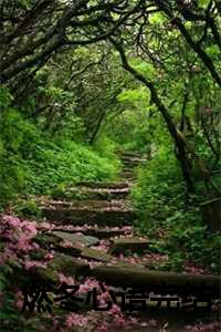 燃冬是什么意思_燃心讲的是什么_燃冬是什么意思（抖音新书热荐燃冬心语许攸林暮野黎漾-小说燃冬心语许攸林暮野黎漾全文完整版免费许攸林暮野黎漾读）