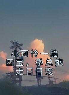 小可怜一胎四宝季总抱走日日宠_书名:小可怜_小可怜一胎四宝季总抱走日日宠（小可怜一胎四宝，季总抱走日日宠王阳,任由,季家小说_小可怜一胎四宝，季总抱走日日宠完结版阅读）