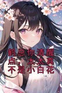 鹤总指的是谁_鹤总什么意思_鹤总指的是谁（佚名的小说_鹤总你清醒点，太太真不是小白花温皎,赵森,顾娇娇小说阅读）