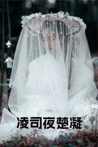 凌司夜温暖小说免费阅读_凌司夜秦汐_凌司夜温暖小说免费阅读（楚凝凌司夜全章节_凌司夜楚凝免费小说阅读）