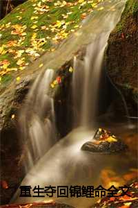 重生锦鲤(穿书)_重生锦鲤女神全本免费阅读_重生锦鲤(穿书)（c2023最新更新热门榜单小说重生夺回锦鲤命-丸子赵若欣全文无弹窗免费丸子赵若欣读大结局）