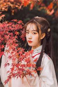 洪荒我成了洪荒天道洪荒我成了洪荒天道（完整篇章洪荒：我还没成仙，就带偏了天道大罗金仙成圣完结版全章节阅读）