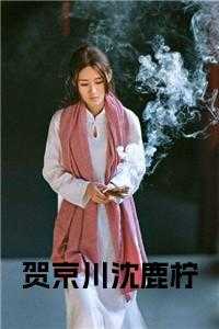 小说贺宁沈景煜_贺瑾年沈辛言免费阅读_小说贺宁沈景煜（小说贺京川沈鹿柠小说在线主角为沈鹿柠贺京川免费阅读）