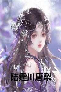 _（陆霆川唐梨阅读完整唐梨陆霆川小说_陆霆川唐梨阅读完整完结版阅读）