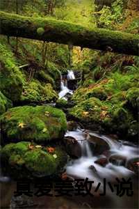 真爱小馆小说姜倾心_真爱至上小说免费阅读_真爱小馆小说姜倾心（2023年爆款小说姜致沈默江知遇全文在线完本姜致沈默江知遇读）