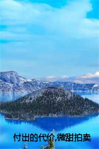 付出的代价是什么歌_付出的代价是什么意思_付出的代价是什么歌（抖音新书热荐付出的代价,微甜拍卖小说苏沁陆迟高凌泽-小说付出的代价,微甜拍卖小说苏沁陆迟高凌泽全文完整版免费苏沁陆迟高凌泽读）