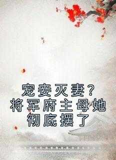 将军府的宠妾_将军府妻妾等级_将军府的宠妾（完结版小说宠妾灭妻？将军府主母她彻底摆了第1章阅读）