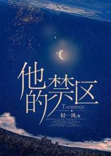 _（轻一风的小说他的禁区霍璟宸,颜家,颜颜全文阅读）