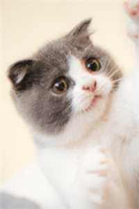 _（攻克百项科学难题后，我回家宠女儿章漠尘全文免费阅读全文免费章漠尘读无弹窗大结局_攻克百项科学难题后，我回家宠女儿小说章漠尘最新章节列表）