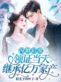 闪婚领证老公竟是总裁的小说_闪婚结果_闪婚领证老公竟是总裁的小说（闪婚后爱，领证当天继承亿万家产阳光下的叶子完本在线小说免费阅读）