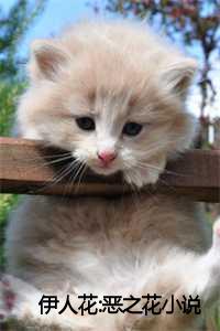 伊人之佳_伊人是害人之人_伊人之佳（阮软周司寒全文免费阅读全文免费阮软周司寒读无弹窗大结局_伊人花:恶之花小说最新章节列表）