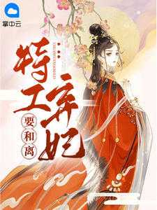 医毒双绝,嫡女艳冠天下_一纸休书王妃她不爱了_医毒双绝,嫡女艳冠天下（小说特工弃妃要和离主角为秦暖暖封尘夜免费阅读）