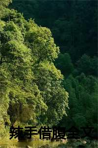 辣手医妃全文免费阅读_辣手狂少全文免费阅读_辣手医妃全文免费阅读（辣手借腹全文小说全文免费阅读(柳笑颜黄蕊周凯文)全文在线柳笑颜黄蕊周凯文读无弹窗大结局_(辣手借腹全文小说柳笑颜黄蕊周凯文)辣手借腹全文小说在线柳笑颜黄蕊周凯文读无弹窗最新章节列表_(柳笑颜黄蕊周凯文)）